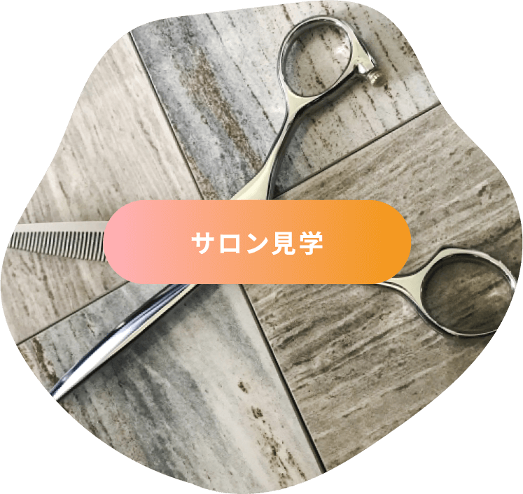 サロン見学